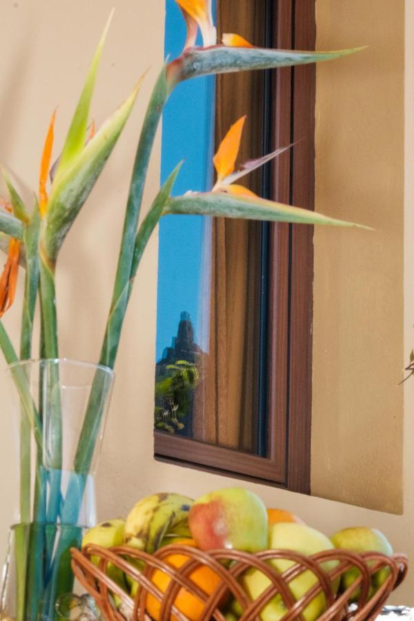 Vakantiehuis The Views